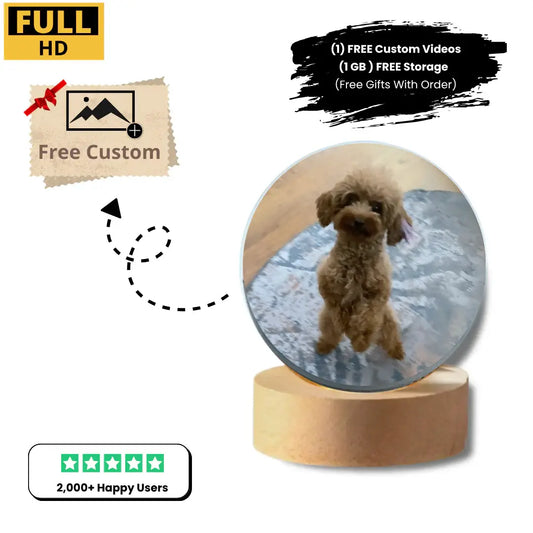 Personalized Video Crystal Ball Gift